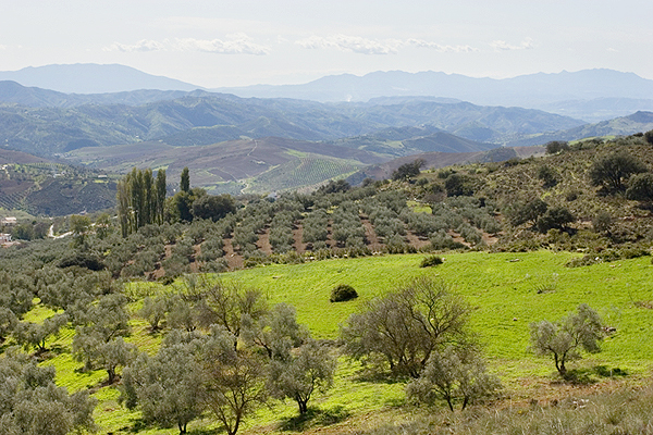 Inland Malaga: Antequera region countryside